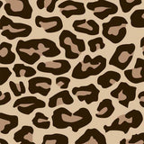 Patterned Adhesive Vinyl (Including Siser EasyPSV)